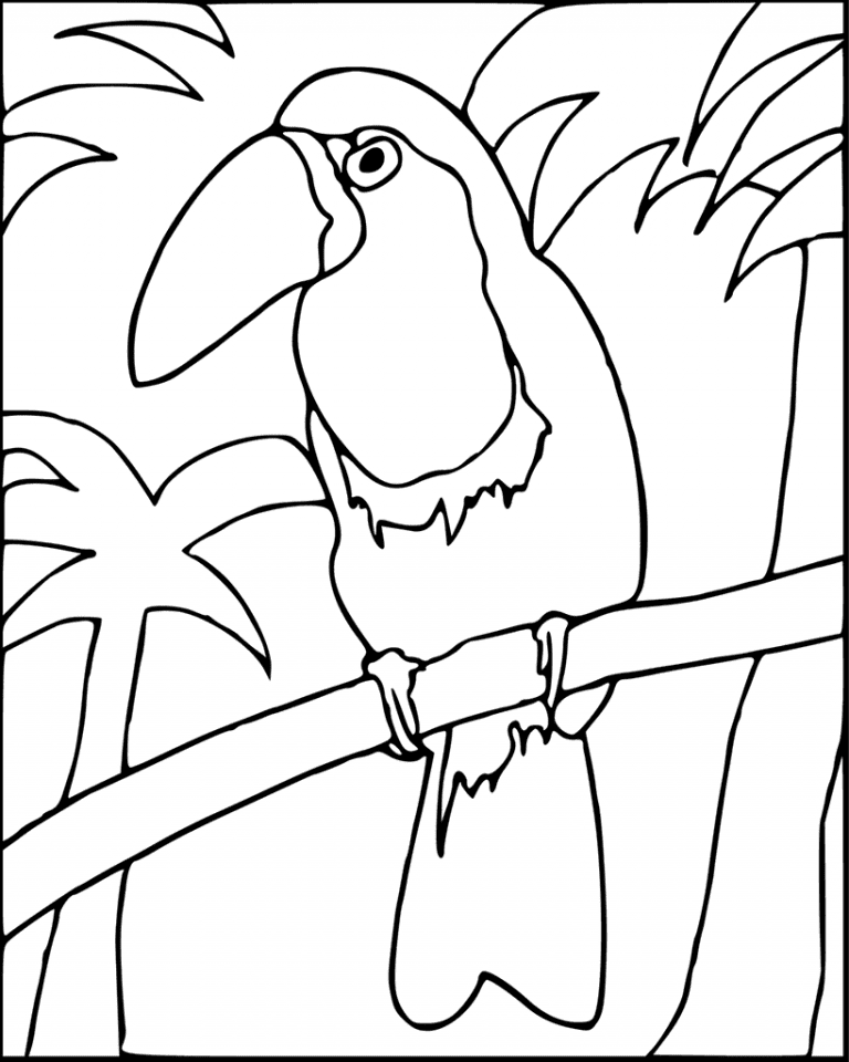 Toucan Printable For Children Coloring Page