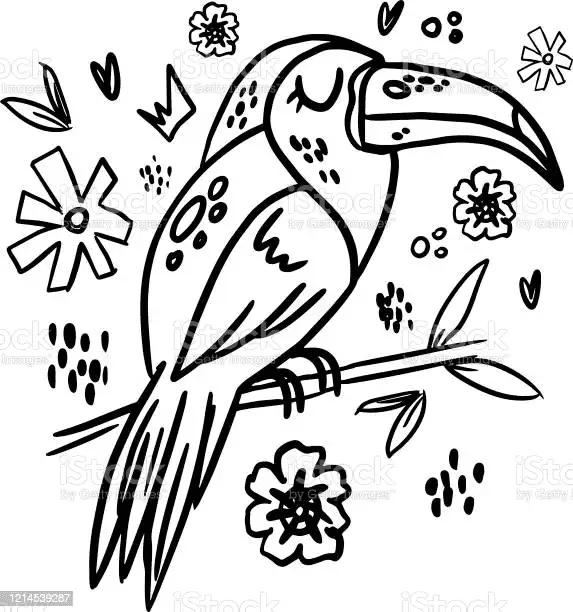 Toucan To Print Picture Coloring Page