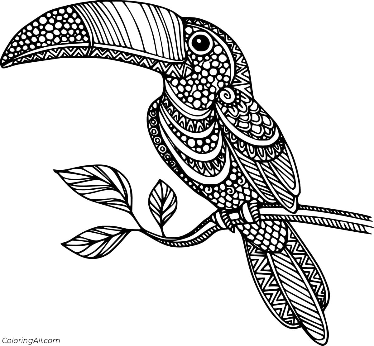 Toucan Zentangle Coloring To Print