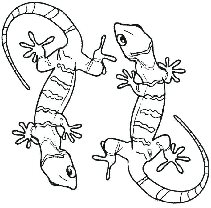 Two Cute Geckos To Print Coloring Page