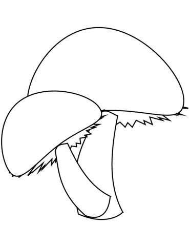 Two Mushrooms Printable Coloring Page