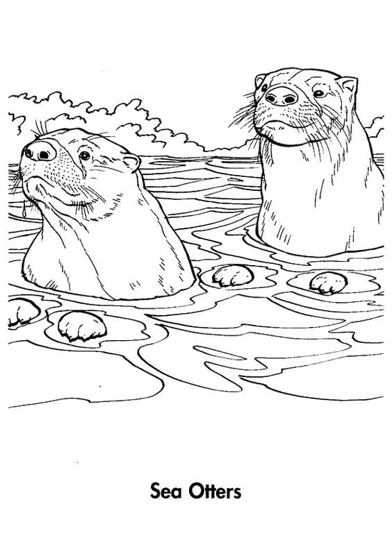 Two Sea Otter Free Printable