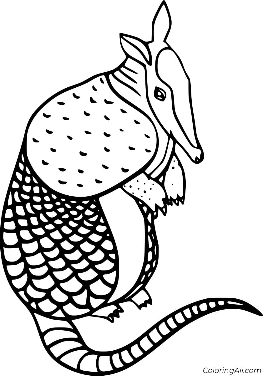 Upright Armadillo Coloring Page