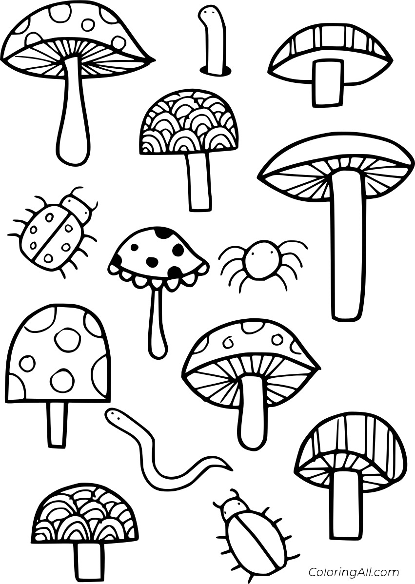 Various Mushrooms Free