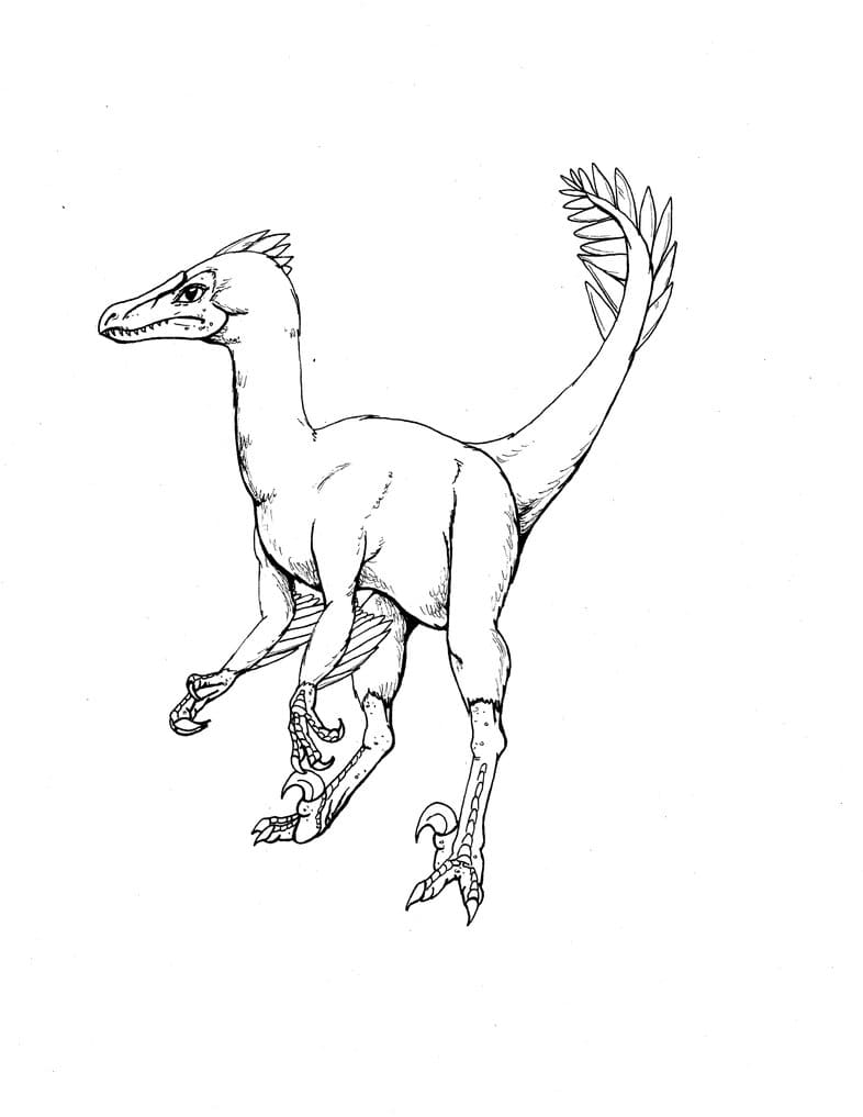 Velociraptor Coloring Page Image Coloring Page