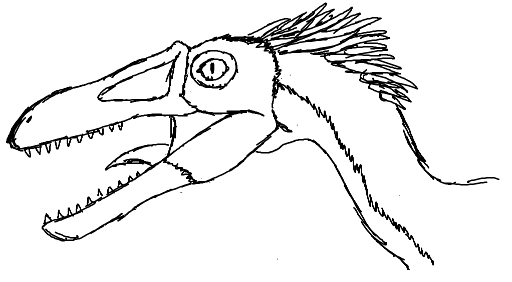 Velociraptor Coloring Page Printable Coloring Page