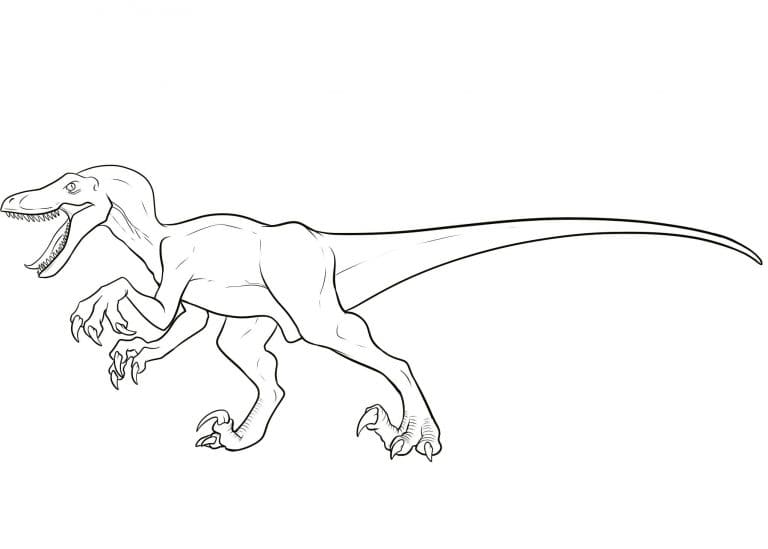 Velociraptor Coloring Pages Free Printables Free