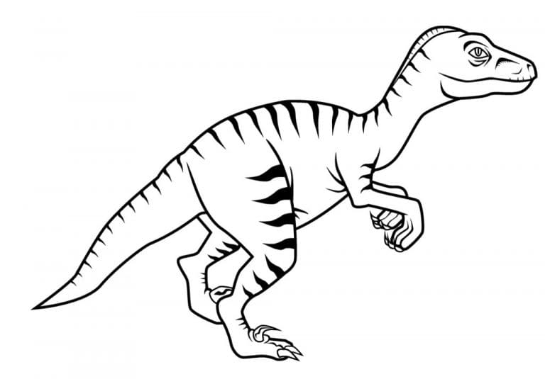Velociraptor Coloring Pages Picture Coloring Page
