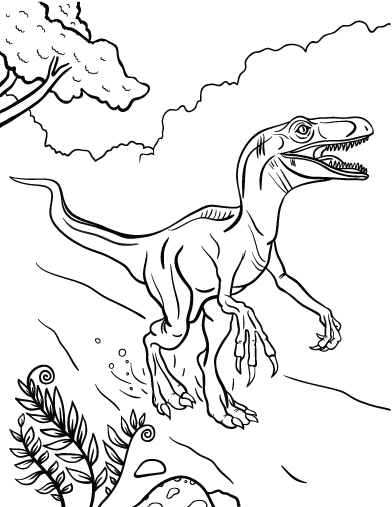 Velociraptor Coloring Pages Printable Free Coloring Page