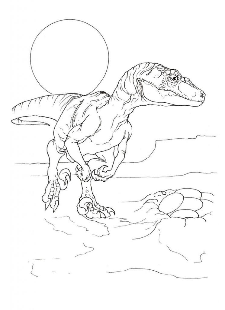 Velociraptor Coloring Coloring Page
