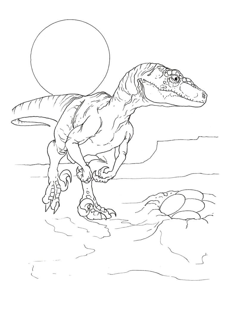 Velociraptor Dinosaur Free Image
