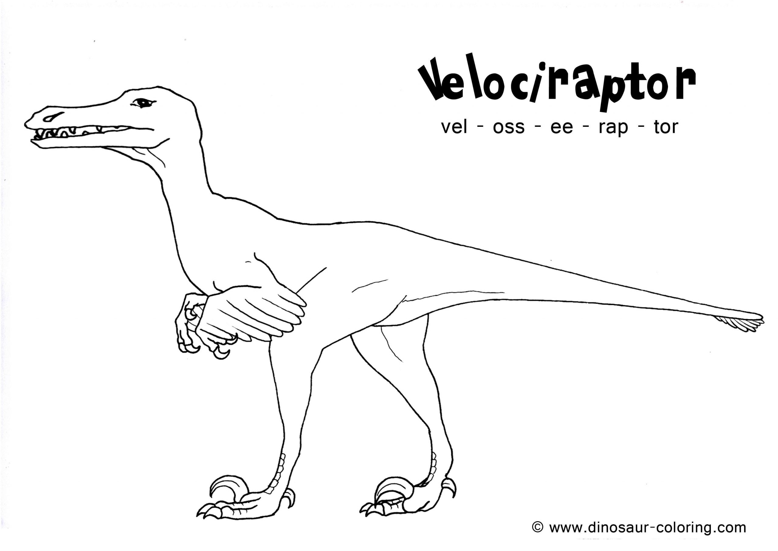Velociraptor Dinosaur Free Coloring Page