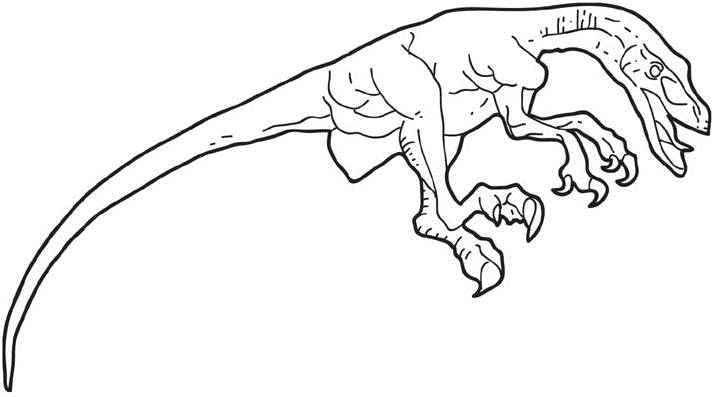 Velociraptor Dinosaur Image Coloring Page