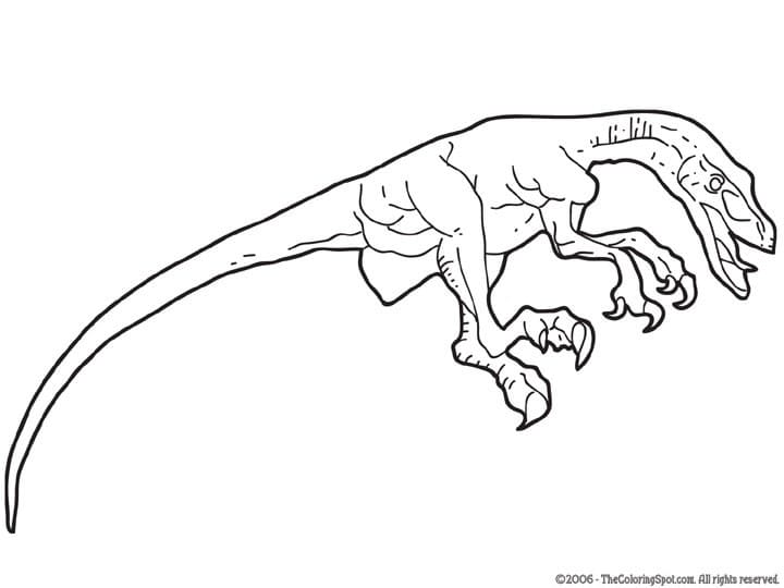 Velociraptor Dinosaur Picture Free Coloring Page