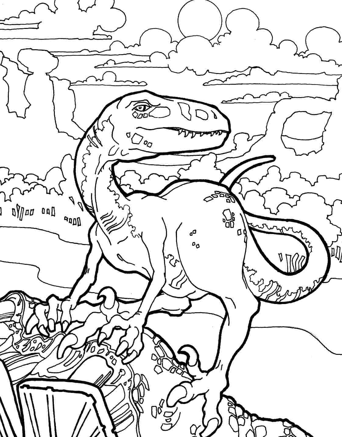 Velociraptor Dinosaur Picture Coloring Page