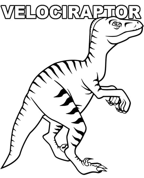 Velociraptor Free Coloring Page
