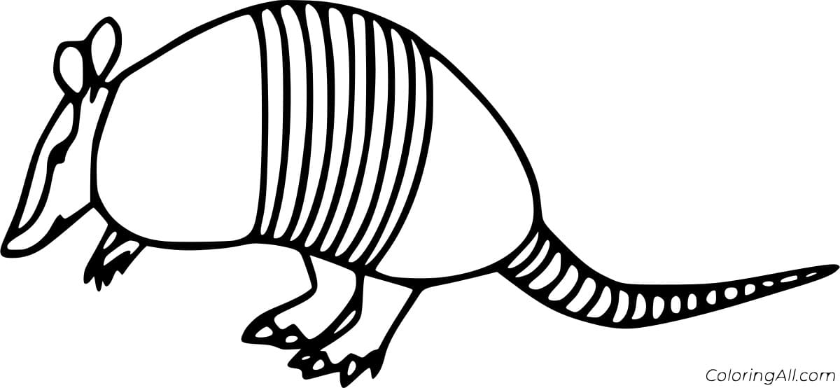 Very Simple Armadillo Coloring Coloring Page