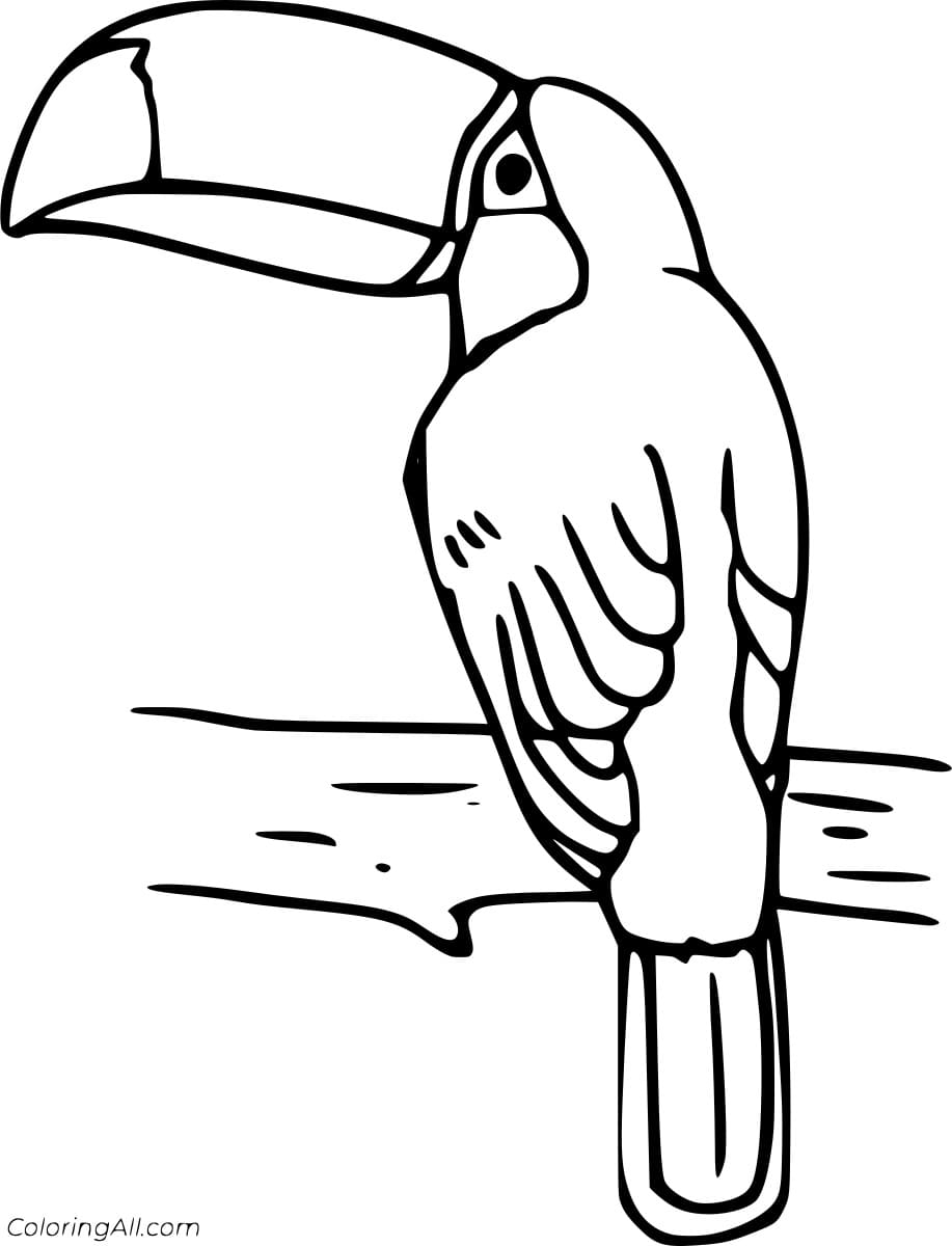 Very Simple Toucan on the Branch Free Printable Coloring Page