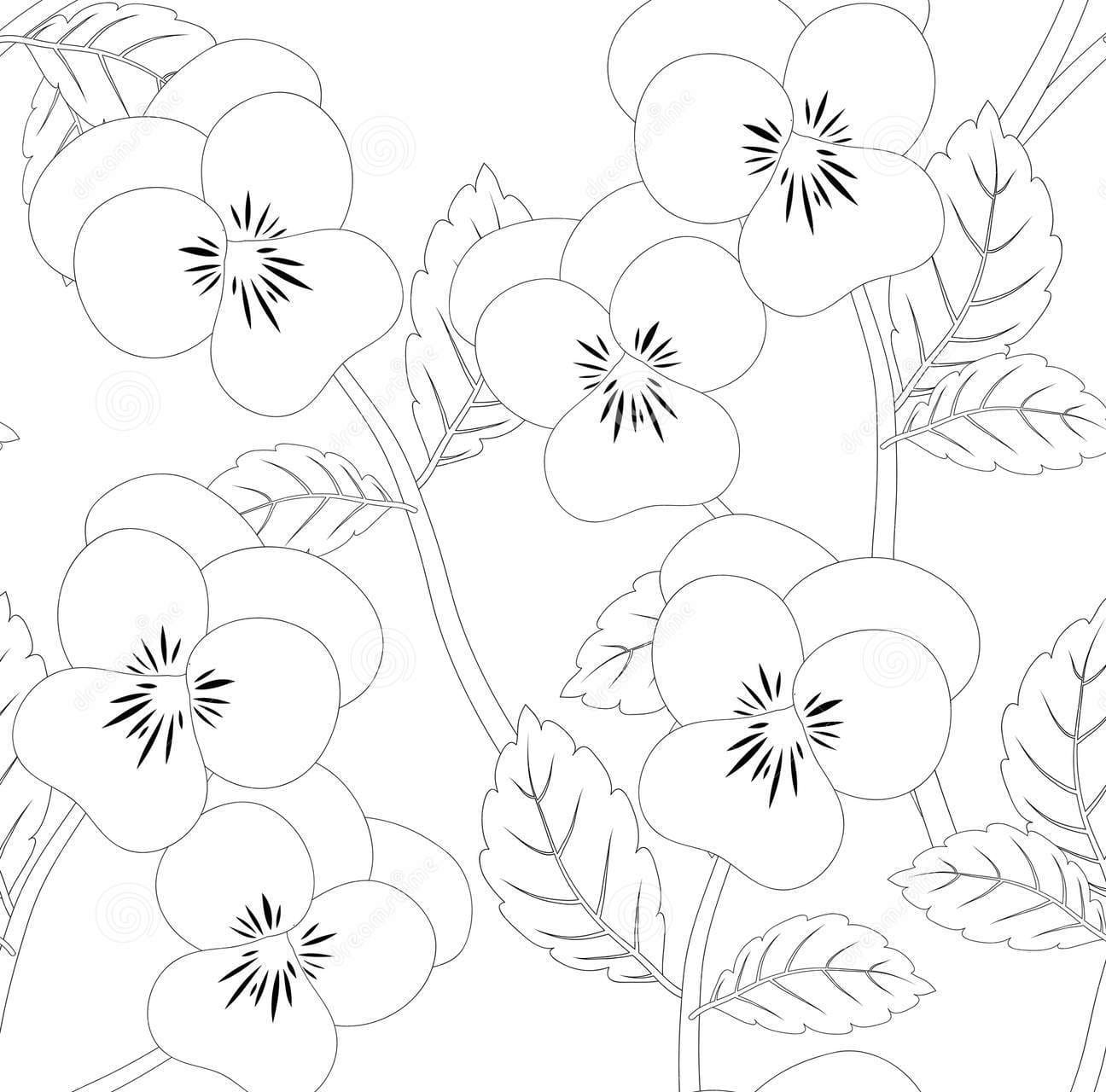 Viola Garden Pansy Flower Seamless Image Coloring Page