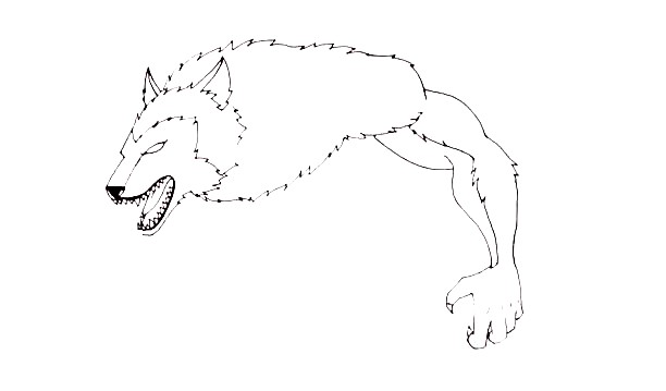 Werewolf-Drawing-2
