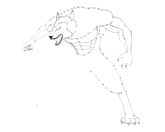 Werewolf-Drawing-4