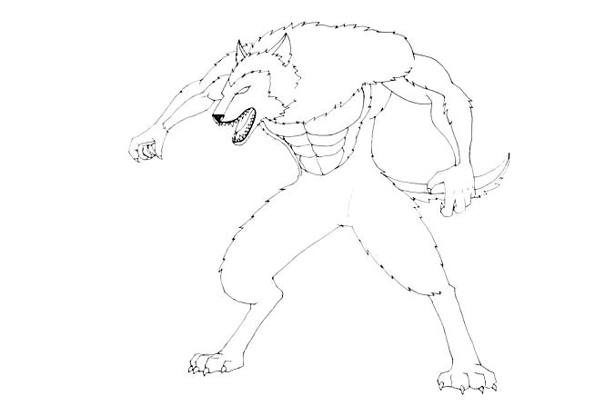 Werewolf-Drawing-6