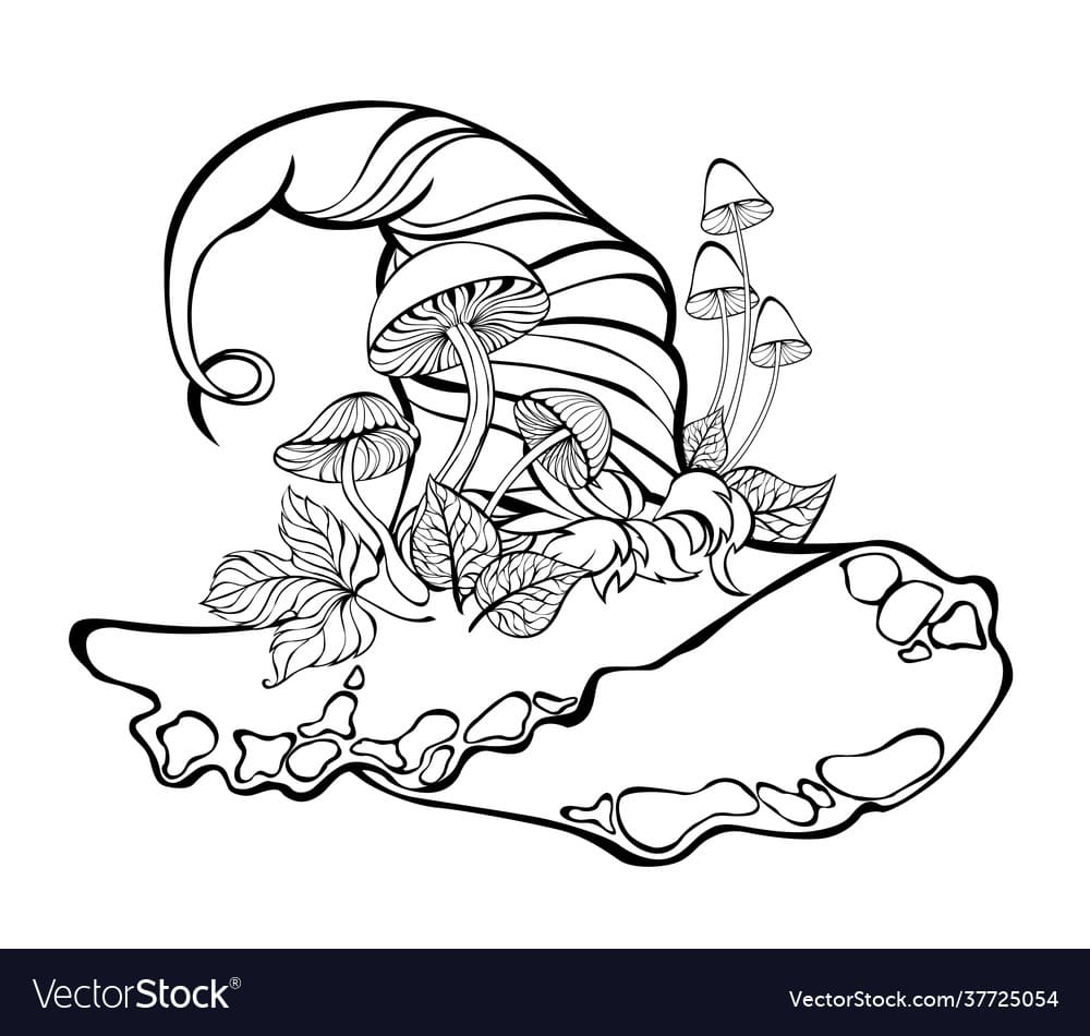 Witch Hat With Mushrooms Vector Image Coloring Page