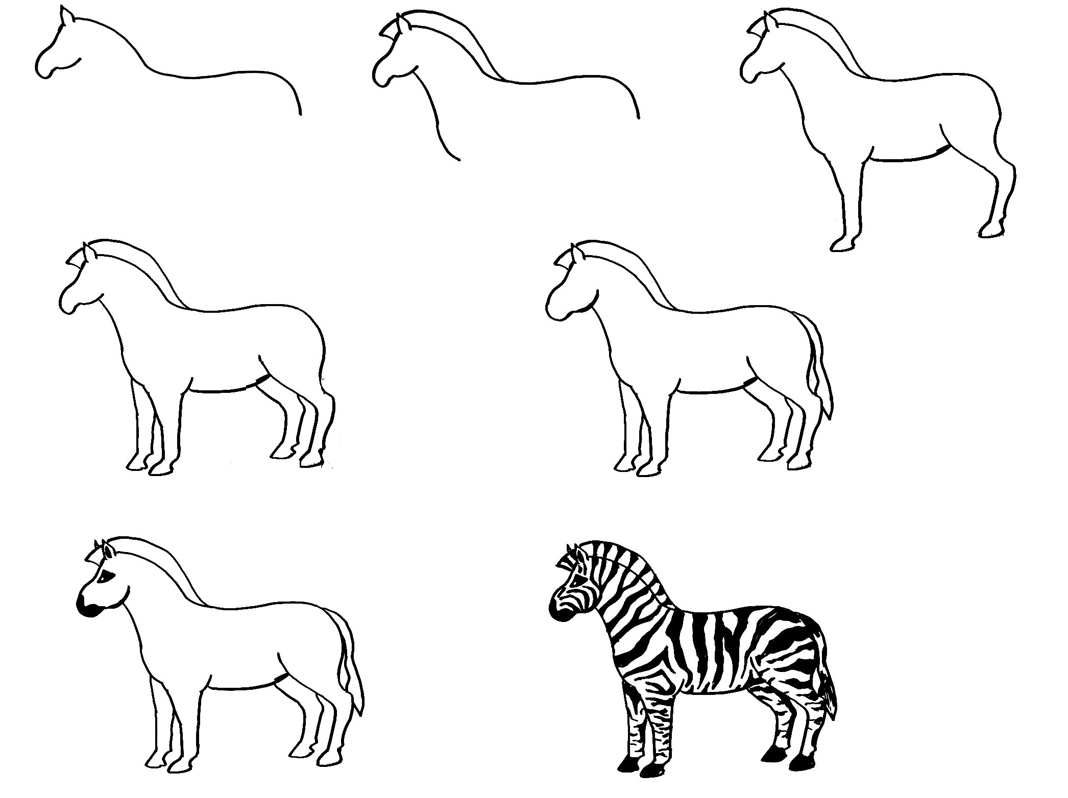 Zebra-Drawing