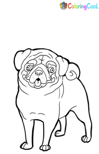 Dog Pug Coloring Pages
