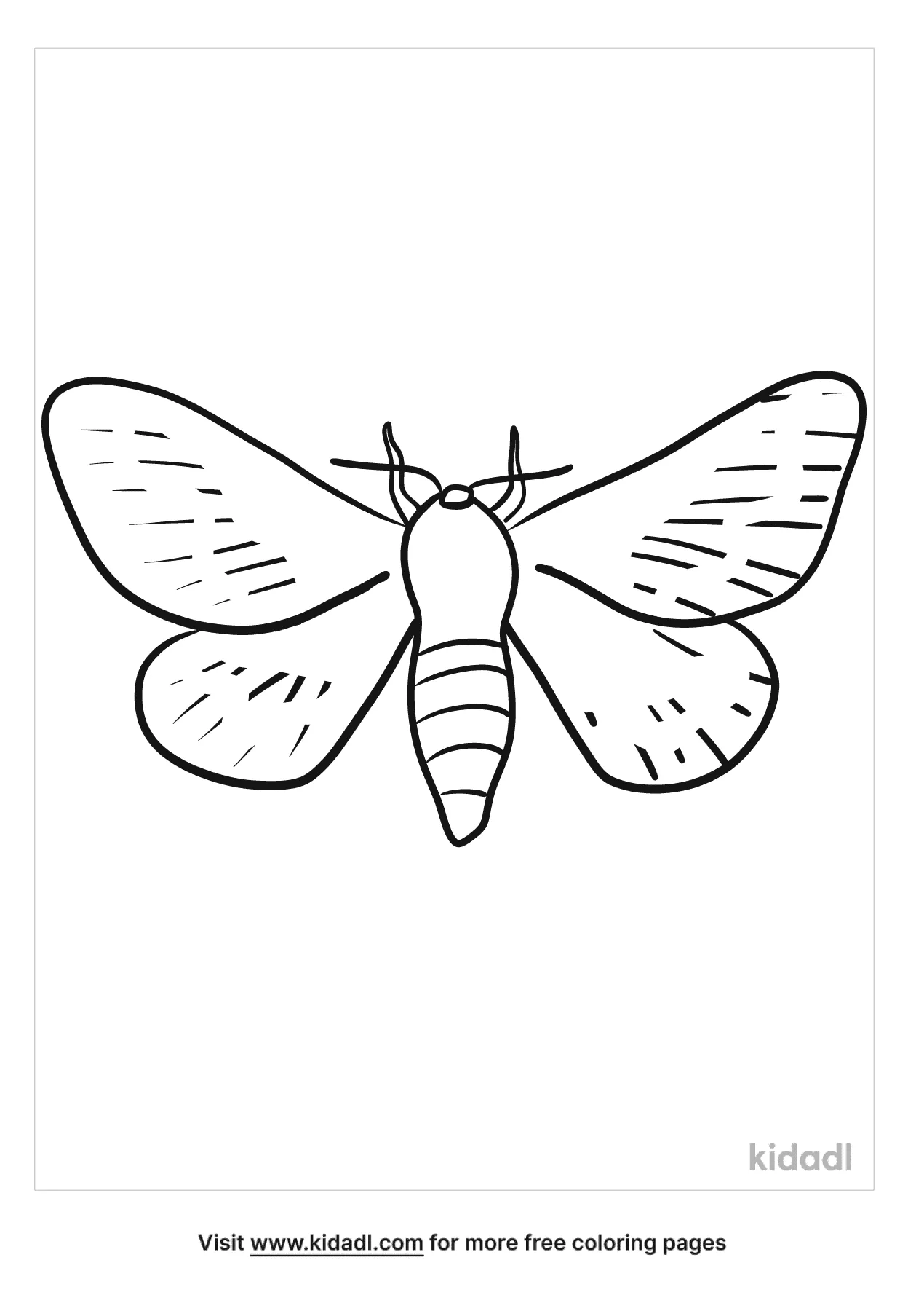 Moth Coloring Page Coloring Page