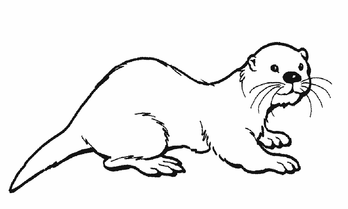 New Sea Otter Coloring Page