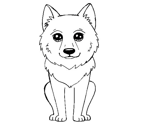 wolf-Drawing-5