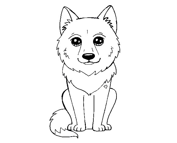 wolf-Drawing-6