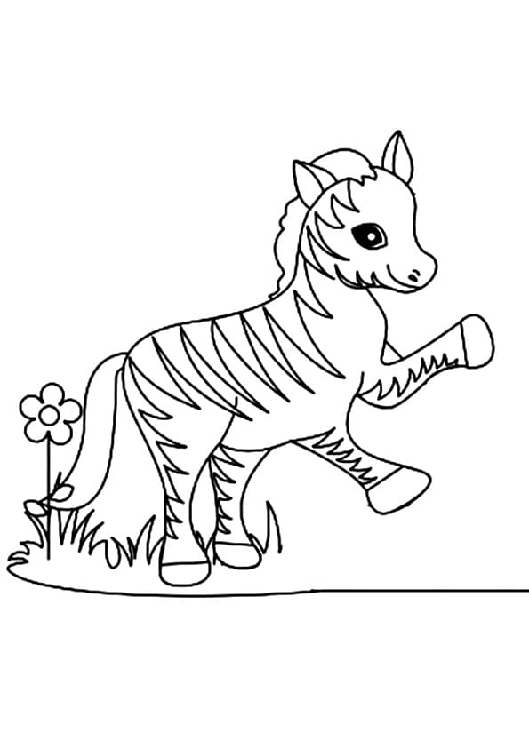 A Funny Little Zebra Coloring Free Printable Coloring Page