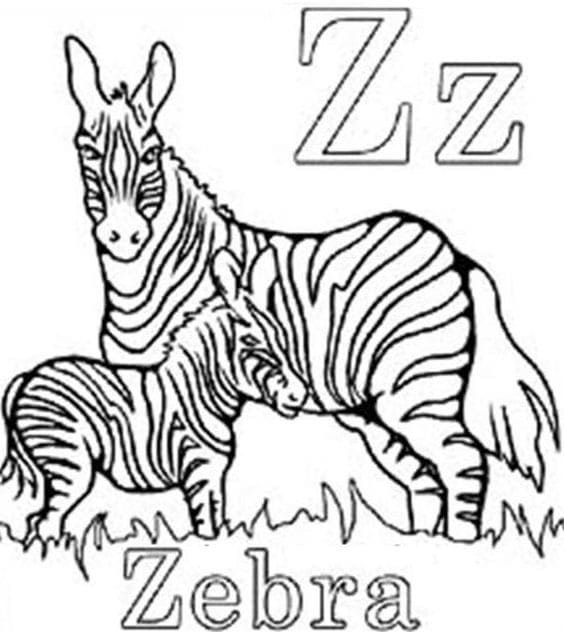 A Funny Little Zebra Coloring To Print Coloring Page