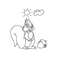 A Squirrel Coloring Ecureuil Coloring Page