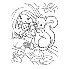A Squirrel Coloring Group Coloring Page
