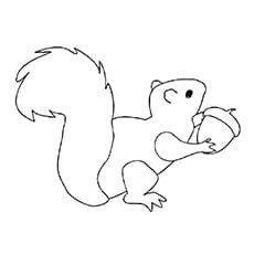 A Squirrel Coloring Image Coloring Page