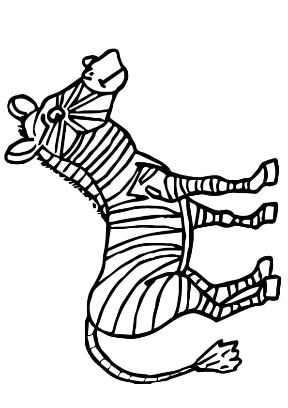 A Zebra Coloring Free Printable Coloring Page