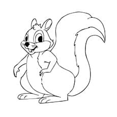 A squirrel Coloring Picture