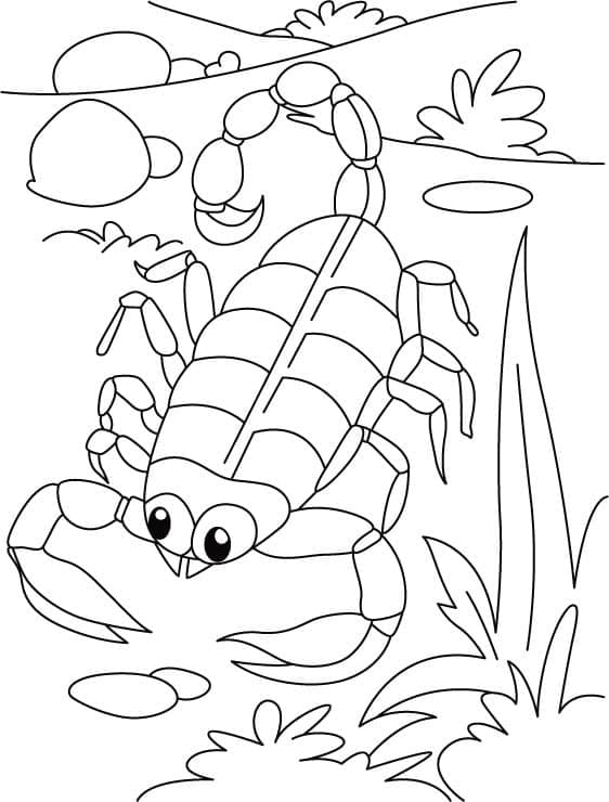 Adorable Scorpion Free Image Coloring Page