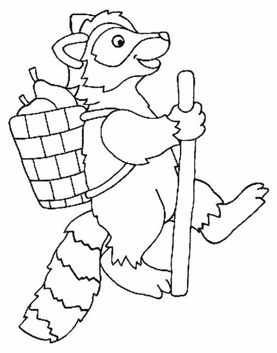 Adventure Of Raccoon Coloring Page
