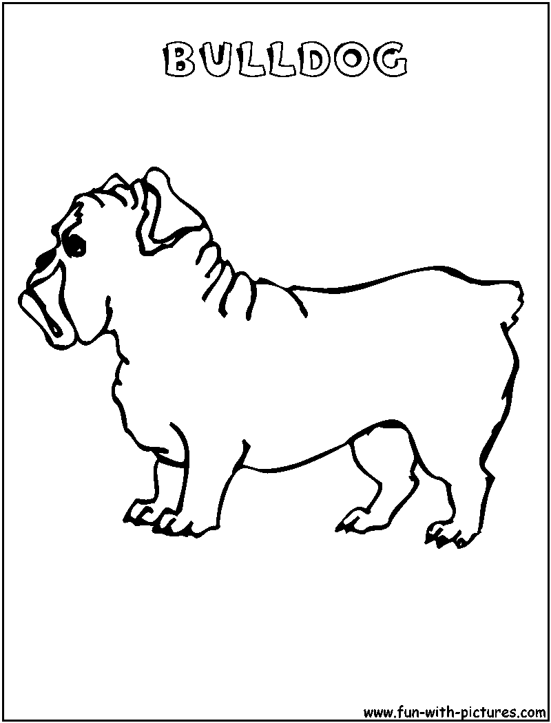 American Bulldog Cute Coloring Page