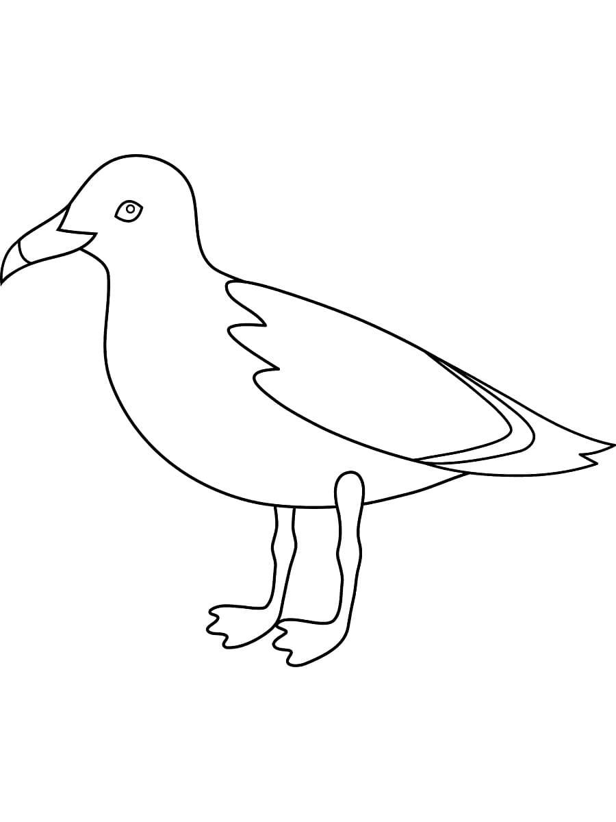 American Herring Gulls Image Coloring Page
