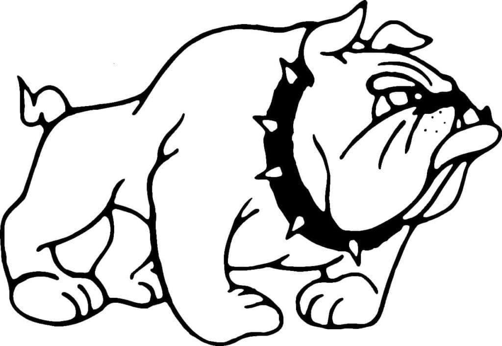 Angry Bulldog Coloring Page