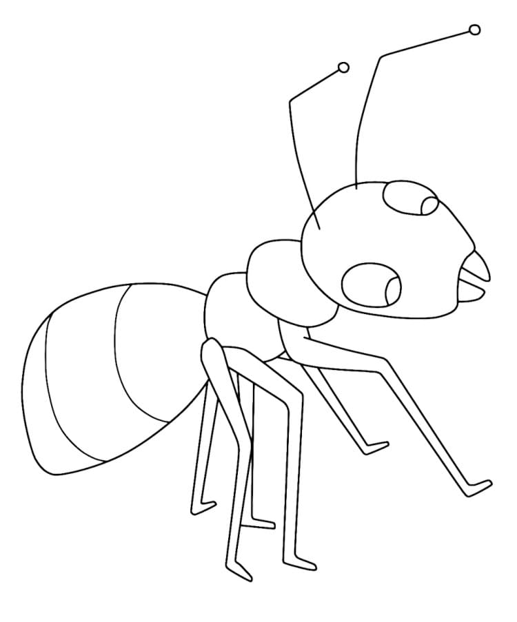 Ant Coloring For Children Coloring Page