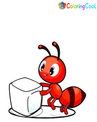 8 Simple Steps To Create A Cute Ant Drawing – How To Draw An Ant Coloring Page