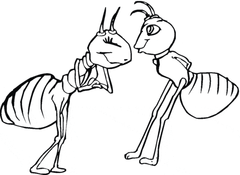 Ant Female and Ant Male Printable Coloring Page