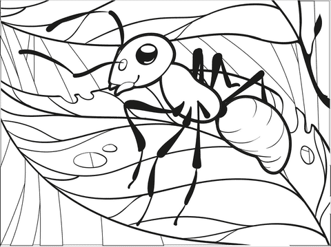 Ant For Children Coloring Page