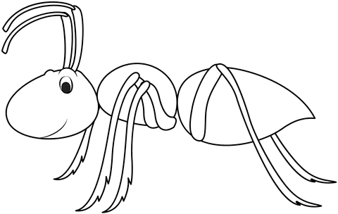 Ant Free Image Coloring Page
